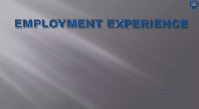 Employment Experience